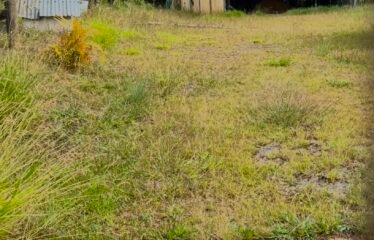 Lote 6100mts Guarne